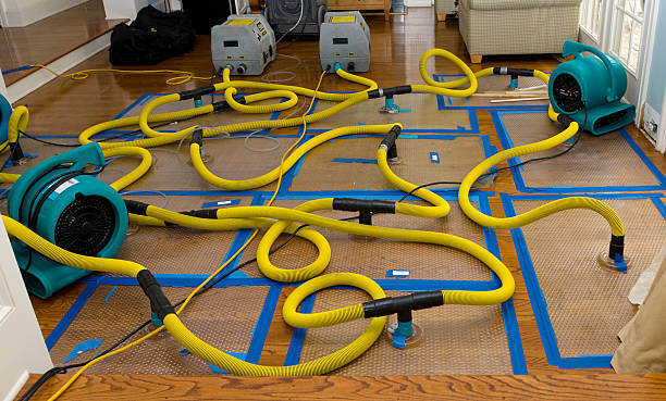 Professional Basement Flood Cleanup technician working in Lake Oswego, OR